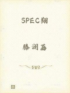 SPEC翔