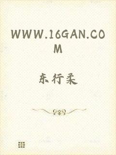 WWW.16GAN.COM