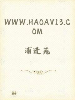 WWW.HAOAV13.COM