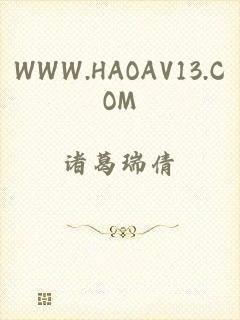 WWW.HAOAV13.COM