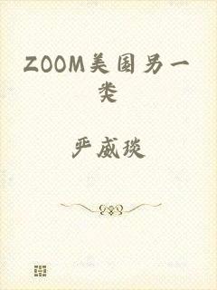 ZOOM美国另一类