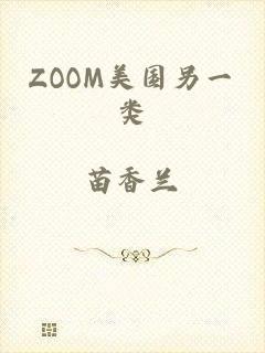 ZOOM美国另一类