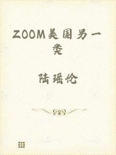 ZOOM美国另一类