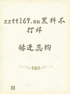 zztt169.su黑料不打烊