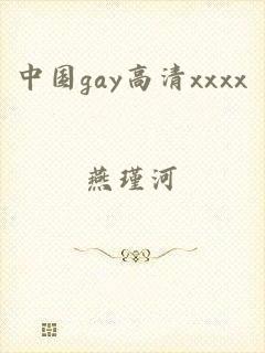 中国gay高清xxxx