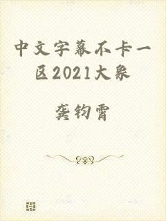 中文字幕不卡一区2021大象