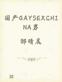 国产GAYSEXCHINA男