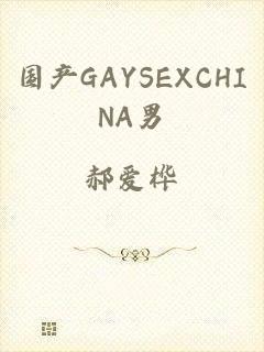 国产GAYSEXCHINA男