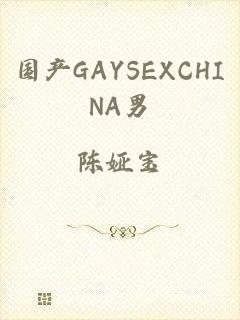 国产GAYSEXCHINA男