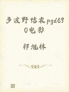 多波野结衣pgd690电影