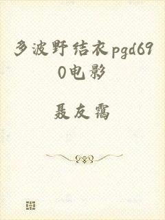 多波野结衣pgd690电影