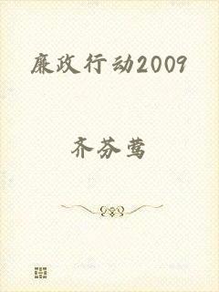 廉政行动2009