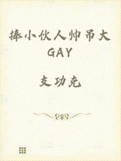 捧小伙人帅吊大GAY