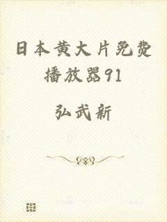 日本黄大片免费播放器91