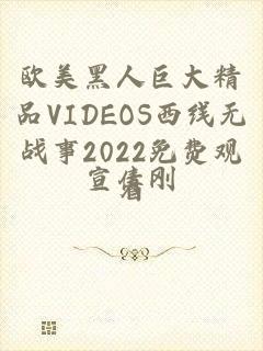 欧美黑人巨大精品VIDEOS西线无战事2022免费观看