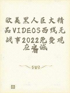 欧美黑人巨大精品VIDEOS西线无战事2022免费观看