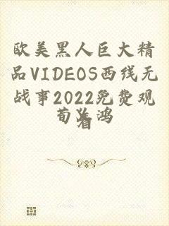 欧美黑人巨大精品VIDEOS西线无战事2022免费观看