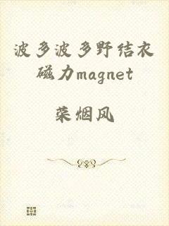 波多波多野结衣磁力magnet