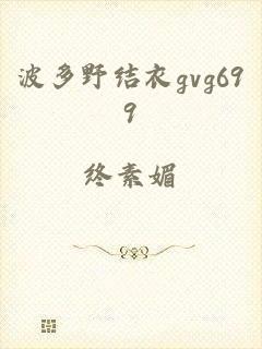 波多野结衣gvg699