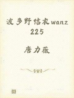 波多野结衣wanz225