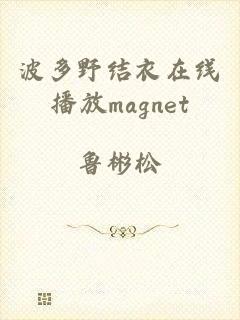 波多野结衣在线播放magnet