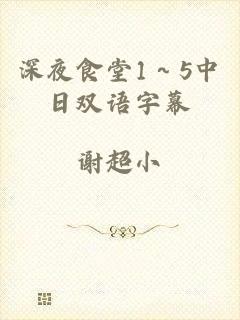 深夜食堂1～5中日双语字幕