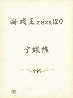 游戏王zexal20