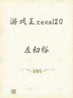 游戏王zexal20