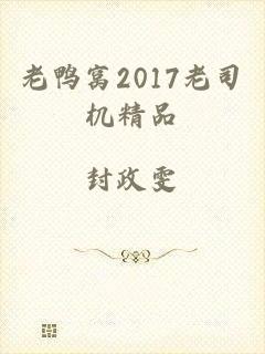 老鸭窝2017老司机精品