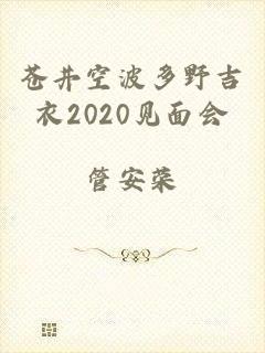 苍井空波多野吉衣2020见面会