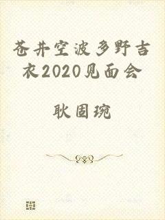 苍井空波多野吉衣2020见面会