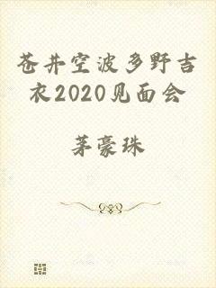 苍井空波多野吉衣2020见面会