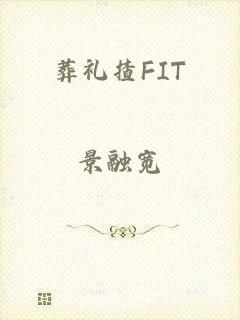 葬礼揸FIT