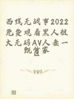 西线无战事2022免费观看黑人粗大无码AV人妻一区